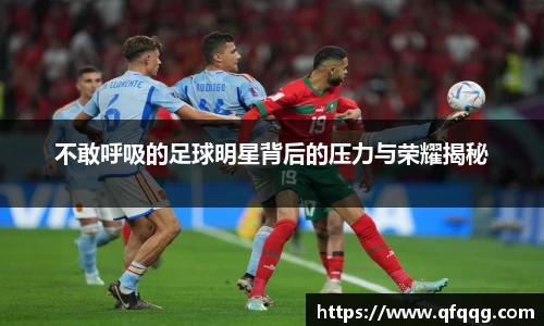 悟空·体育平台